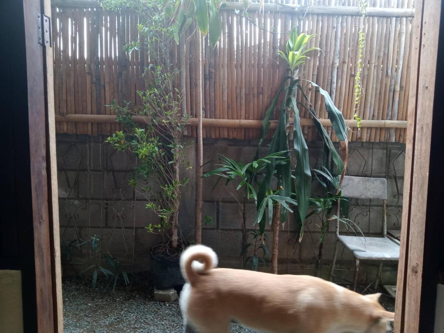 Imchai 拜县 外观 照片