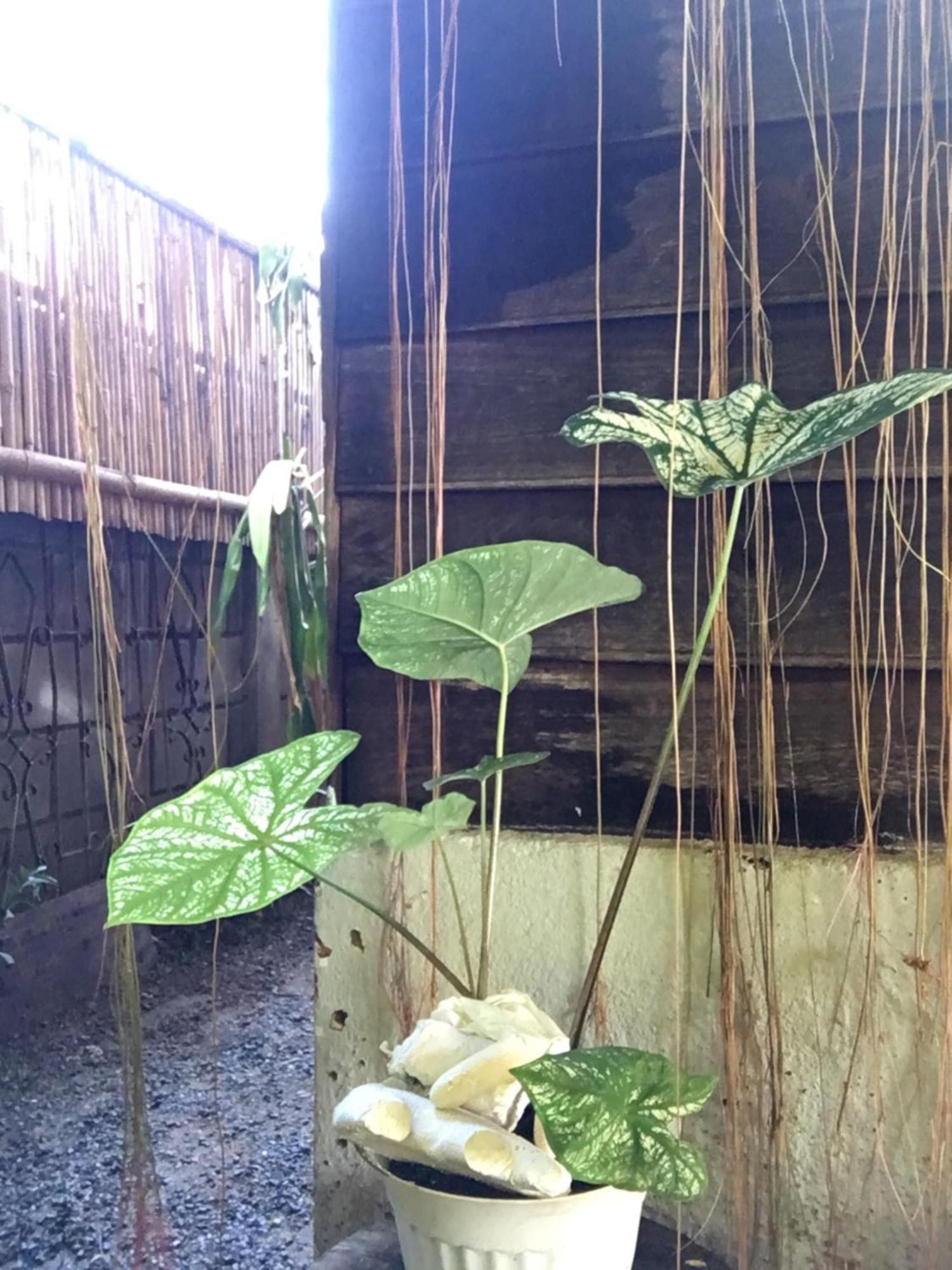 Imchai 拜县 外观 照片