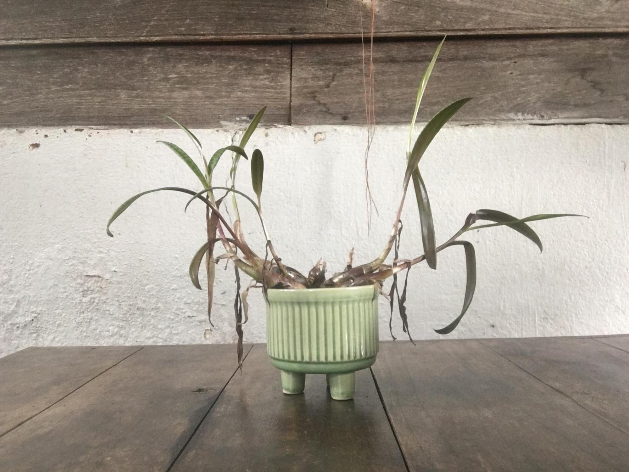 Imchai 拜县 外观 照片
